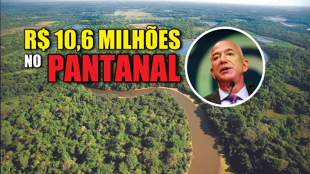 Jeff Bezos injects R$10.6 million into the Pantanal: the million-dollar investment promises to turn the world’s largest wetland into a global reference for environmental monitoring
