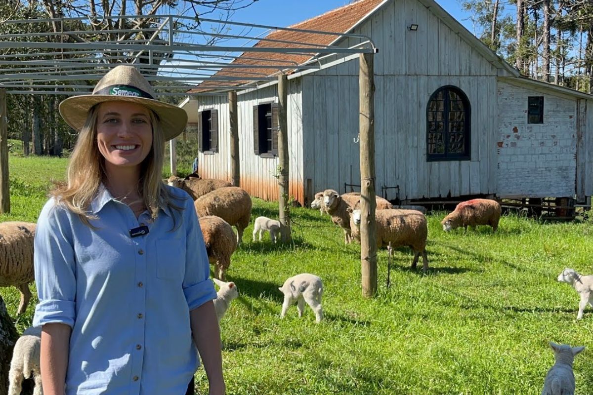 Aos 27, ex advogada larga Porto Alegre, reforma casa abandonada há 10 anos e monta criatório com 280 ovelhas no RS em três hectares, sozinha usando piquetes e dois reprodutores