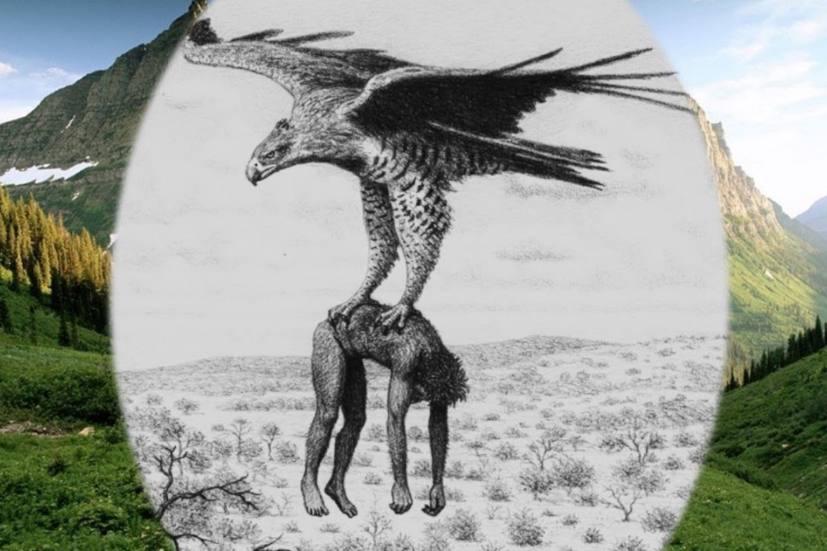 Na Nova Zelândia, a águia-de-Haast dominou as florestas caçando moas; a envergadura e as garras ajudam a entender ataques velozes e o colapso após a chegada humana.