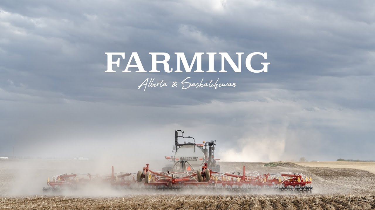 Onde o inverno paralisa tudo, menos o agro: com temperaturas abaixo de −40 °C, janela de plantio de apenas 100 dias e produção anual acima de 75 milhões de toneladas de grãos, uma região extrema se tornou potência agrícola global