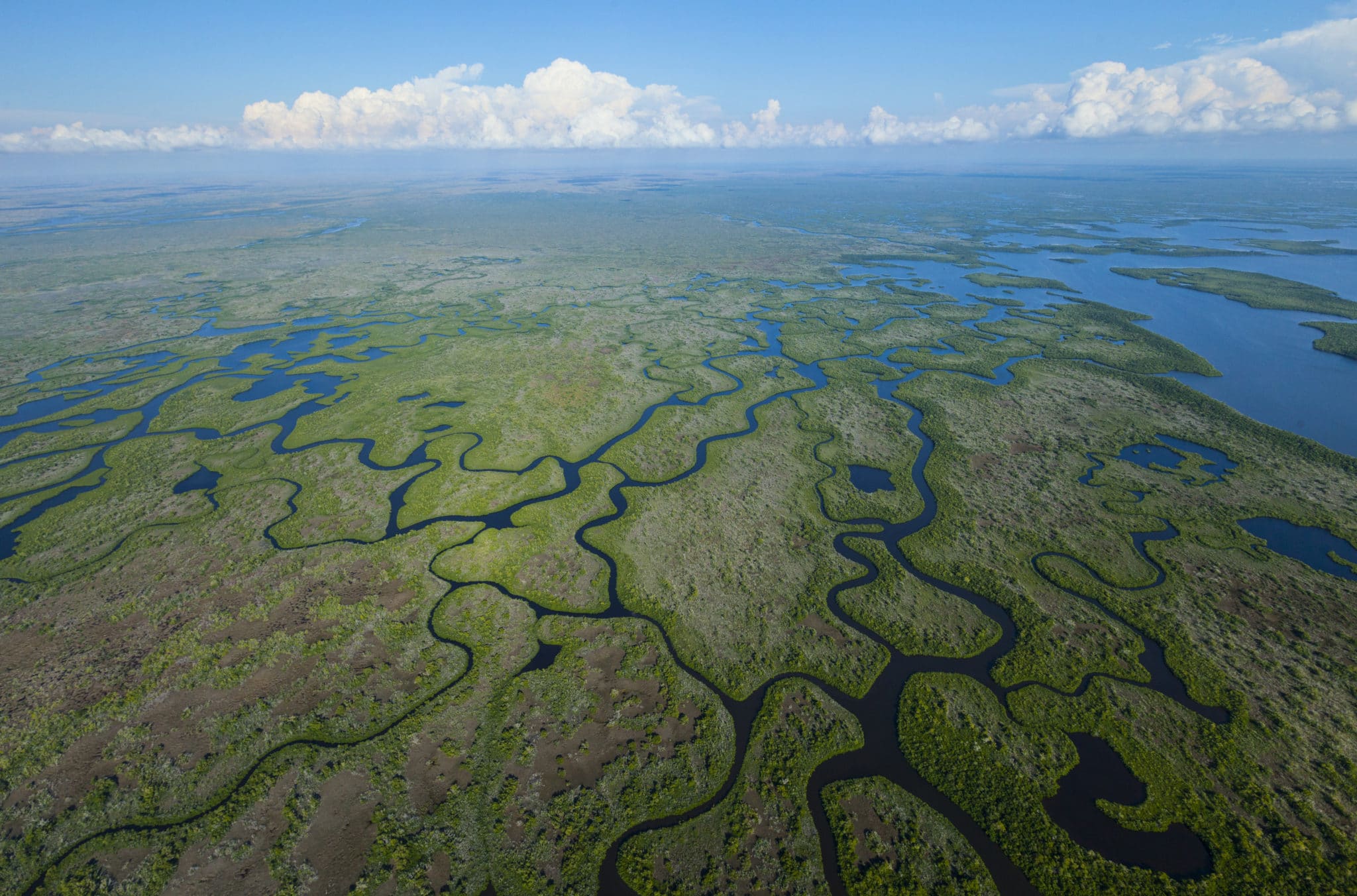 Escavadeiras fecham milhares de quilômetros de canais artificiais, movimentam milhões de m³ de terra, rebaixam o solo em larga escala e tentam devolver o fluxo natural da água a pântanos drenados por mais de 100 anos de engenharia agressiva