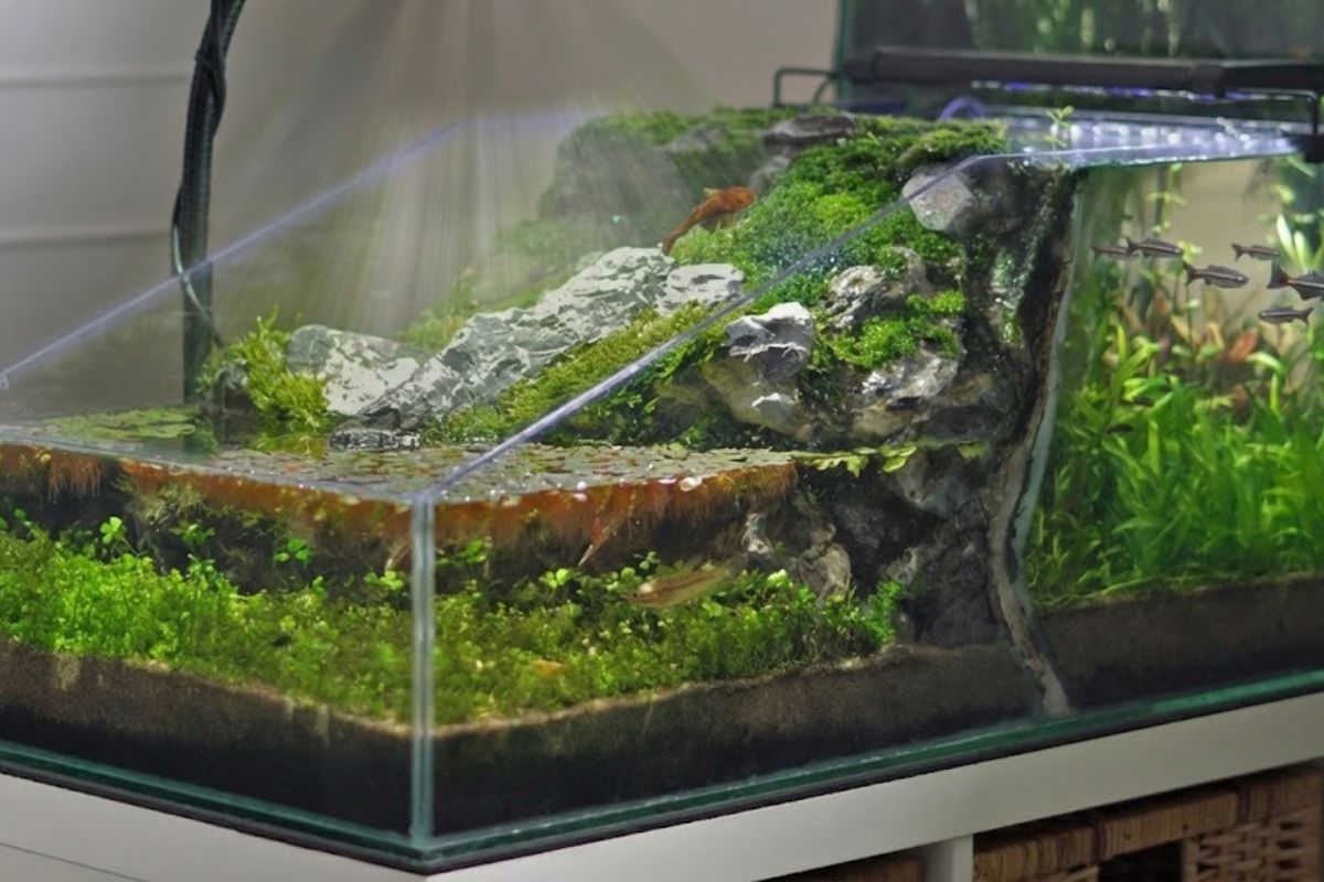 Cachoeira funcional em aquário mostra camarões e bagres escalando; a microfauna e as plantas fecham ciclos, enquanto o aquário recirculado evidencia limites de vedação, fluxo e dureza da água.