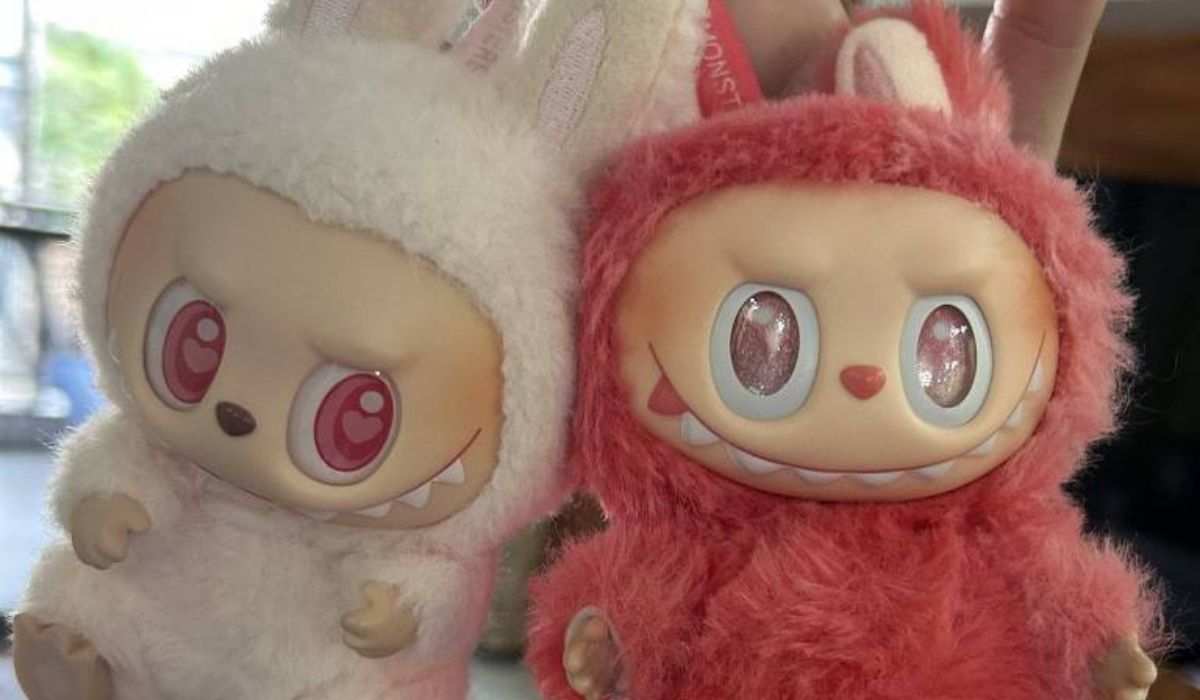 ONG denuncia irregularidades trabalhistas em fábrica chinesa ligada aos Labubus, com jovens sem proteção legal e contratos incompletos. (Imagem: Reprodução)