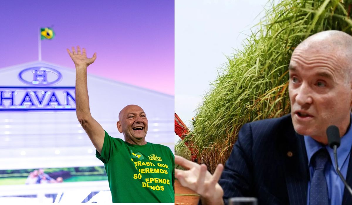 Havan planeja abrir 15 lojas em 2026 enquanto Eike Batista aposta em supercana e biocombustíveis para reposicionar seus negócios. (Imagem: Colagem/Reprodução/CompreRural)