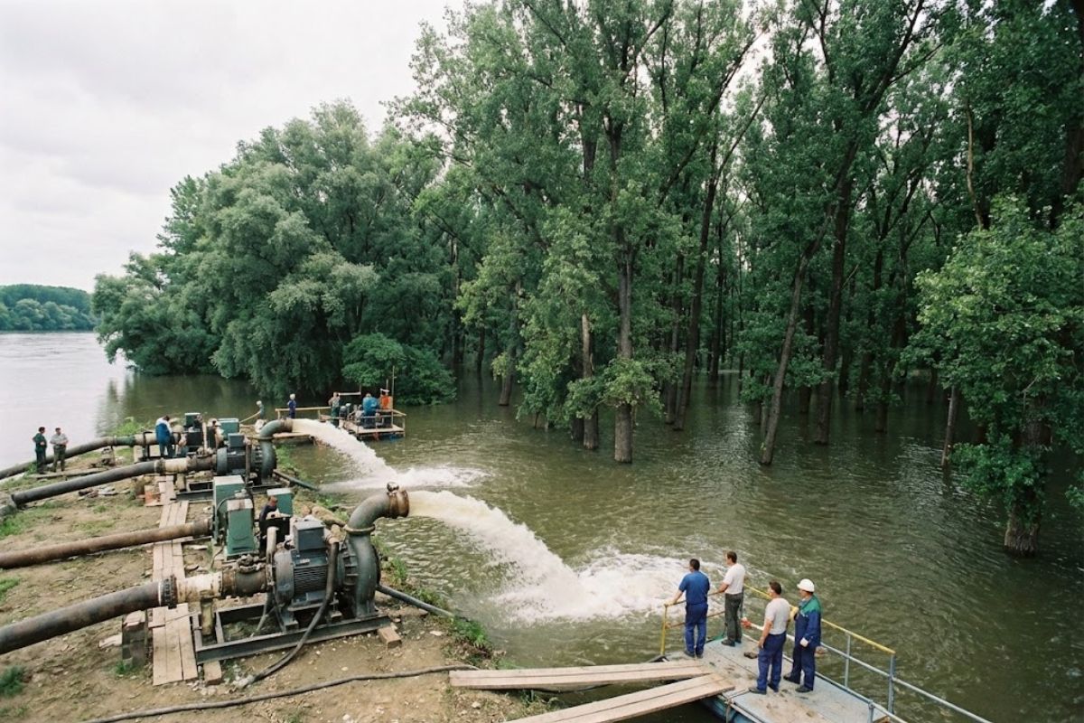 Hungria decide alagar floresta em Bereg usando água do rio Tisza contra a seca para recarregar aquíferos e testar adaptação climática baseada na natureza. (IMAGEM: ILUSTRATIVA)