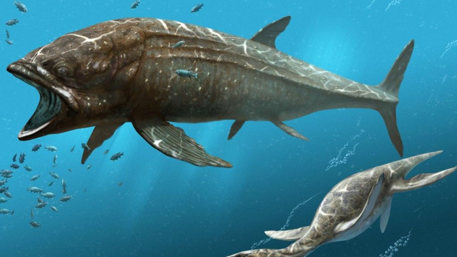 Leedsichthys problematicus viveu no Jurássico e alcançou até 16,5 metros, sendo considerado o maior peixe ósseo da história segundo estudos científicos.