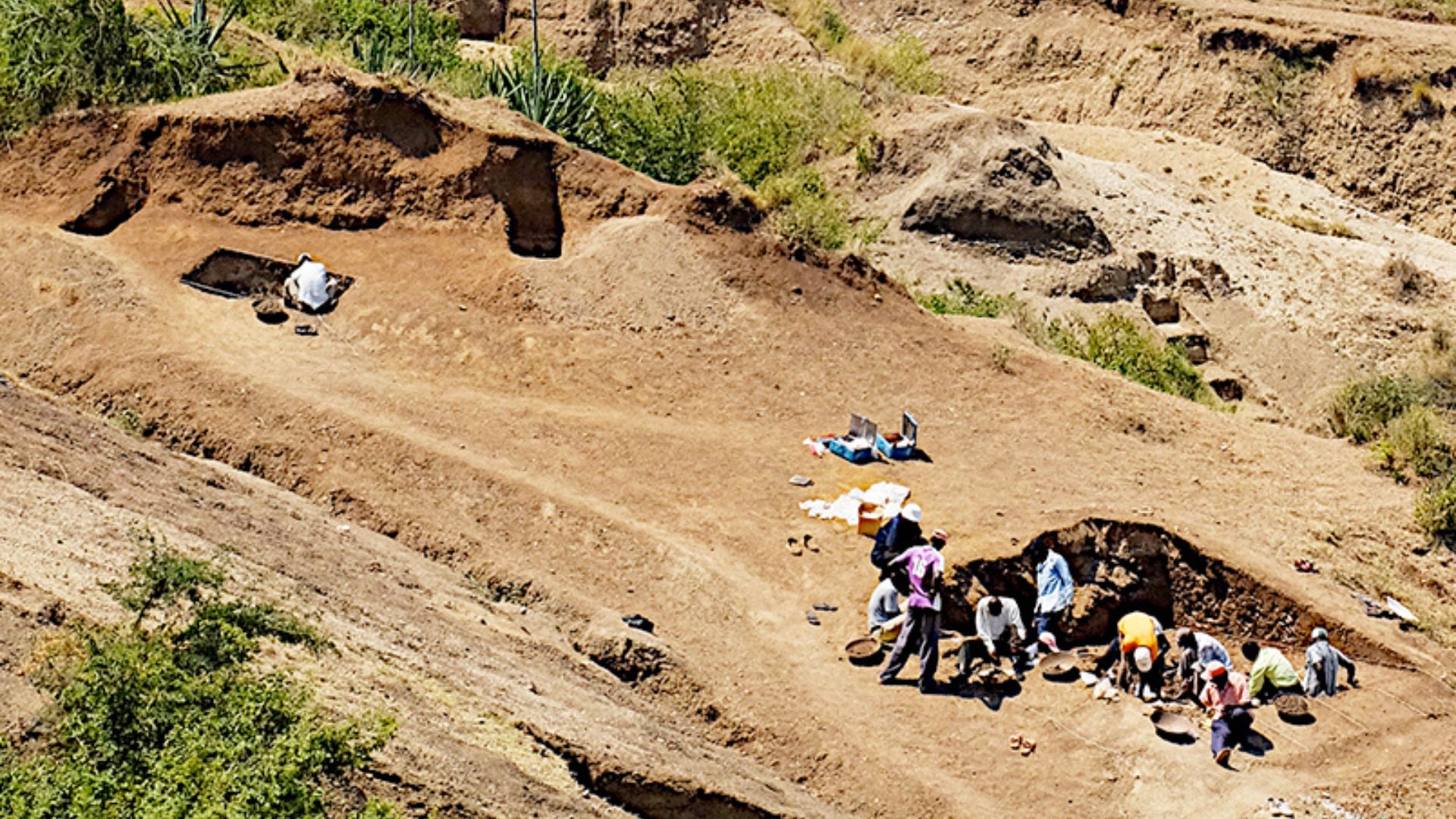 Ferramentas de 2,9 milhões de anos no Quênia desafiam a origem da tecnologia humana ao surgirem com ossos cortados e Paranthropus antigos.