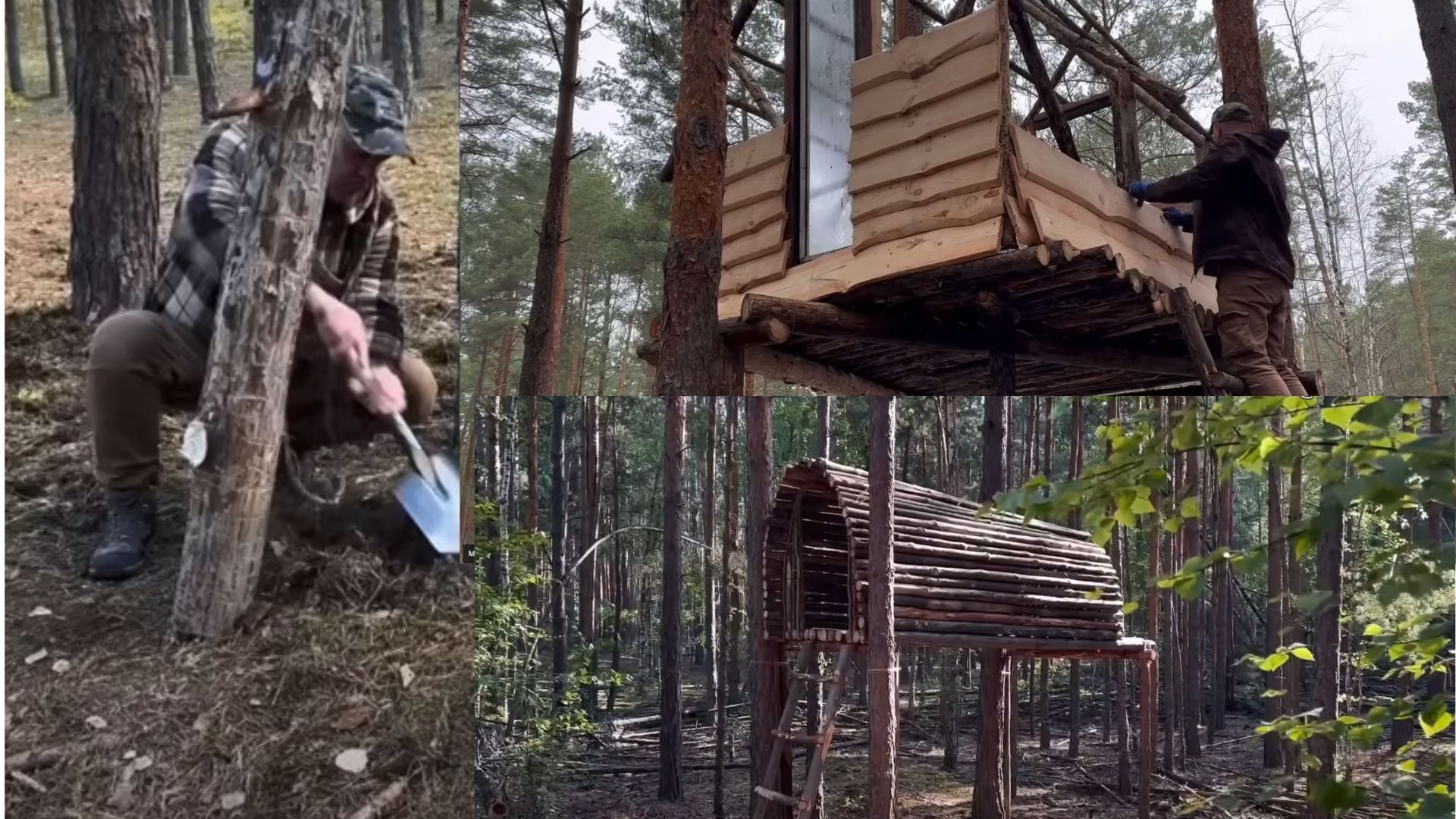 Abrigo elevado a 2 metros do solo usa troncos e madeira leve, sem parafusos, fixado em árvores, com conforto térmico e baixo impacto ambiental.