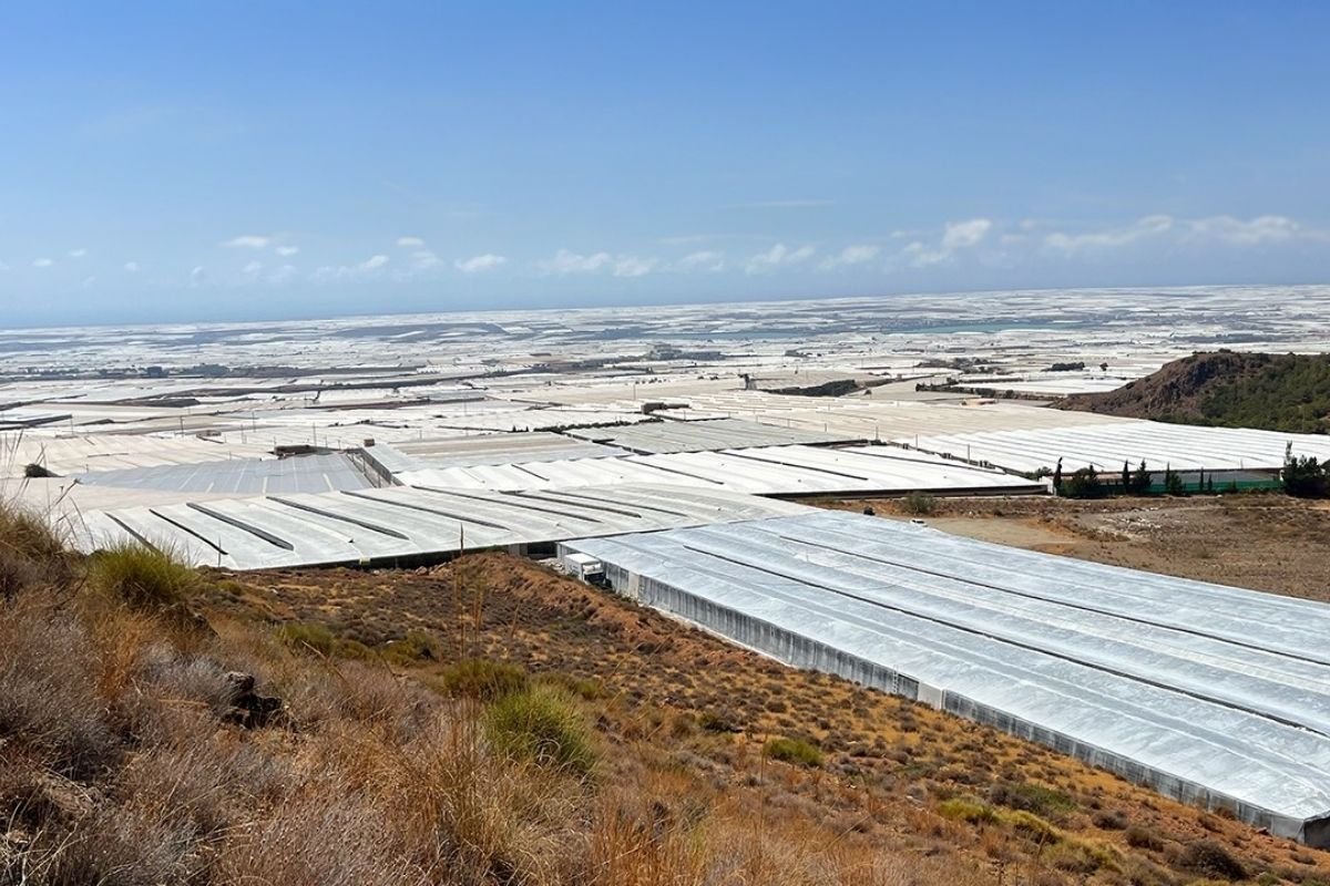 mar de plástico em Almería: estufas no deserto geram produção, mas lixo plástico e trabalho precário viram críticas ao modelo.