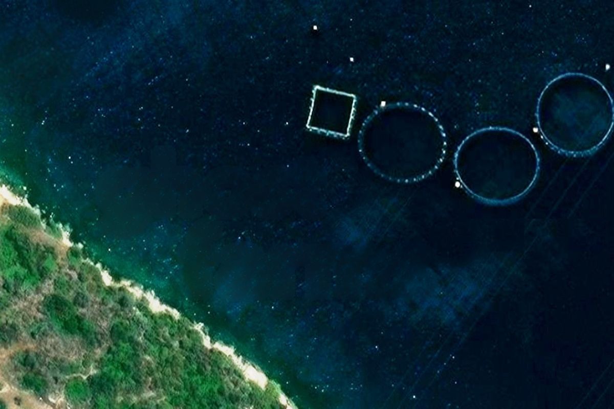 fazendas fantasmas expõem como plástico e isopor da piscicultura viram microplásticos no mar da Grécia, com fiscalização falha, riscos no mergulho e uma limpeza lenta e cara.