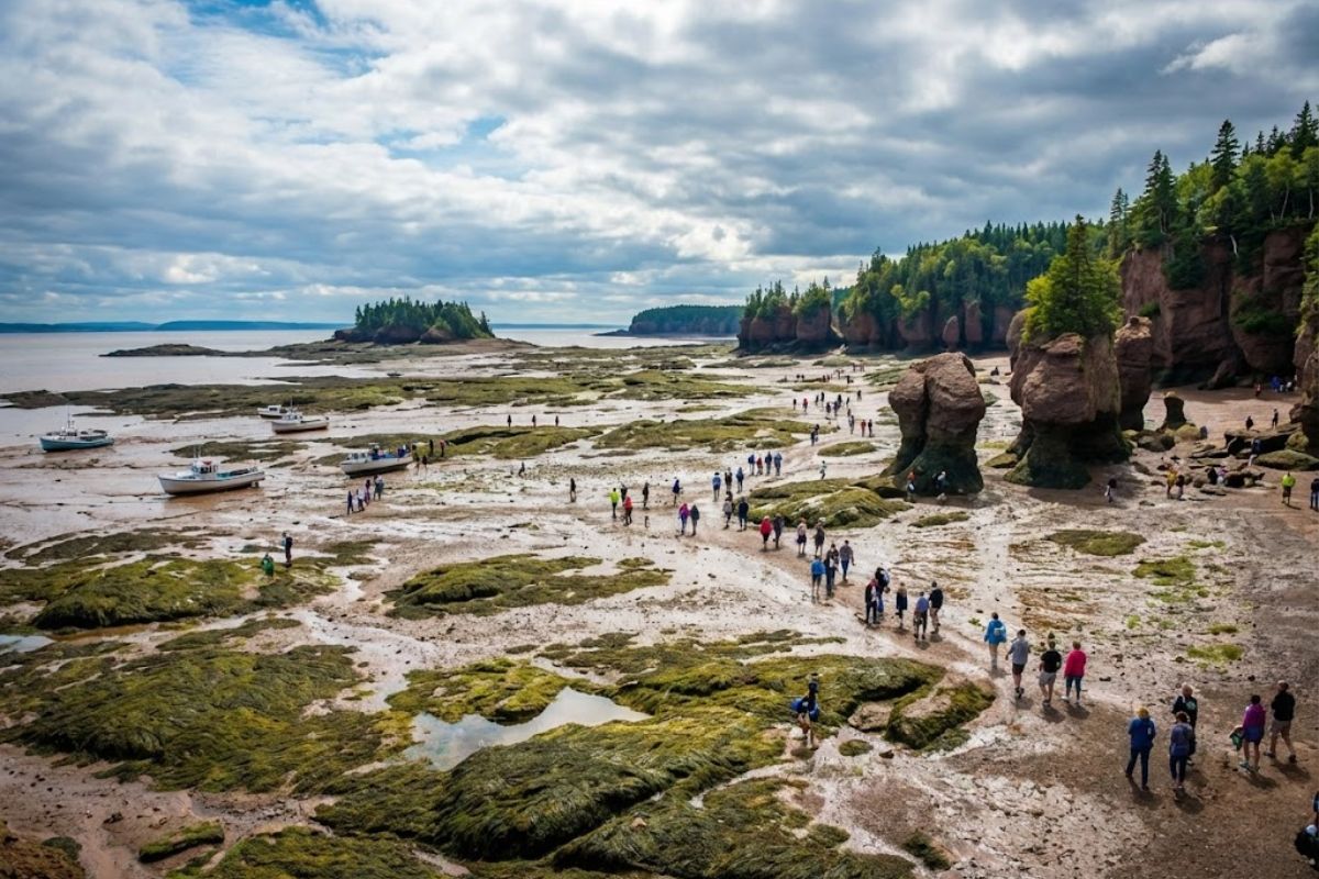 Ilha na Baía de Fundy some com a maré, revela fundo do oceano e vida marinha, criando um fenômeno extremo no Canadá que atrai turistas curiosos.