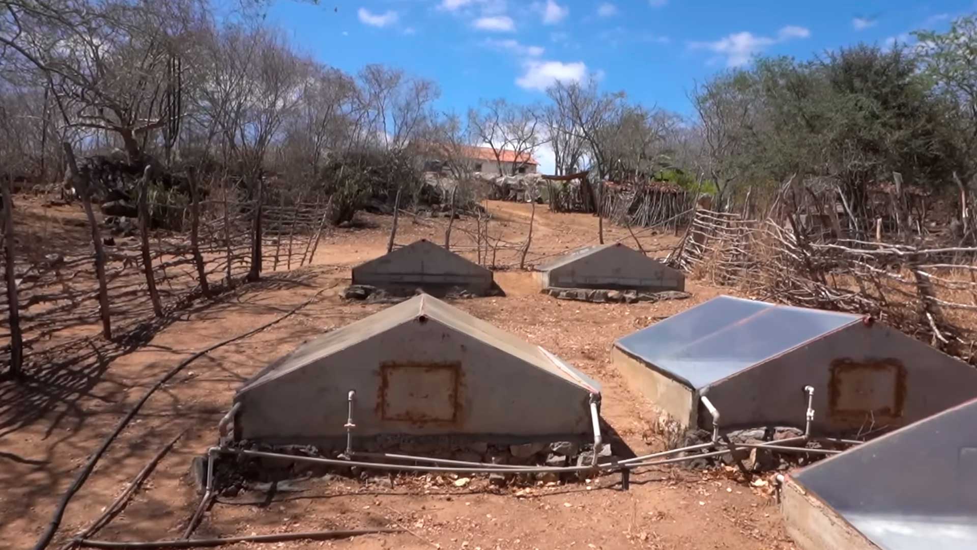 Pesquisadores já somam cerca de 200 dessalinizadores solares instalados e planejam versão móvel do equipamento para atendimento a famílias no sertão