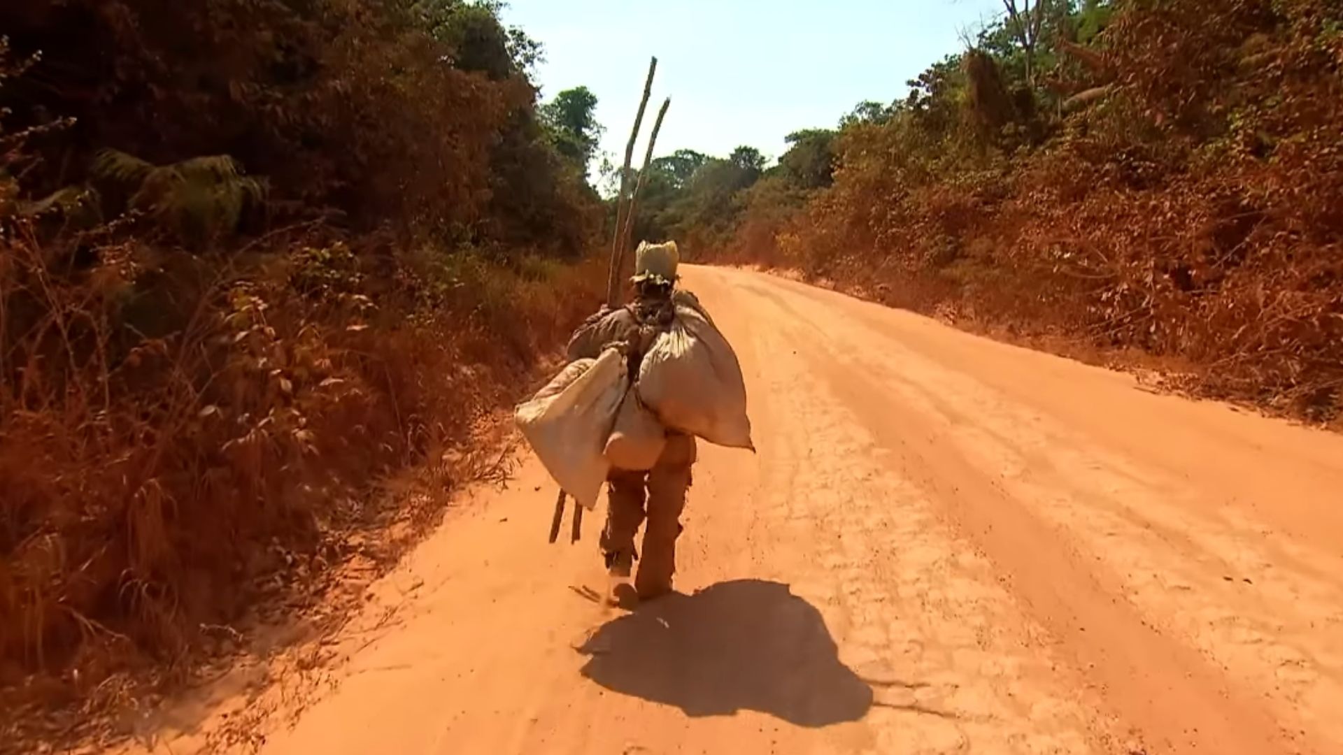 Andarilho caminhando a pé pela Transamazônica com pertences simples e vegetação amazônica ao fundo.