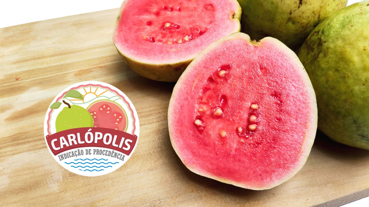 Descubra Carlópolis, a Capital da Goiaba do Paraná, onde técnicas inovadoras de cultivo e turismo sustentável fortalecem a economia e atraem visitantes.