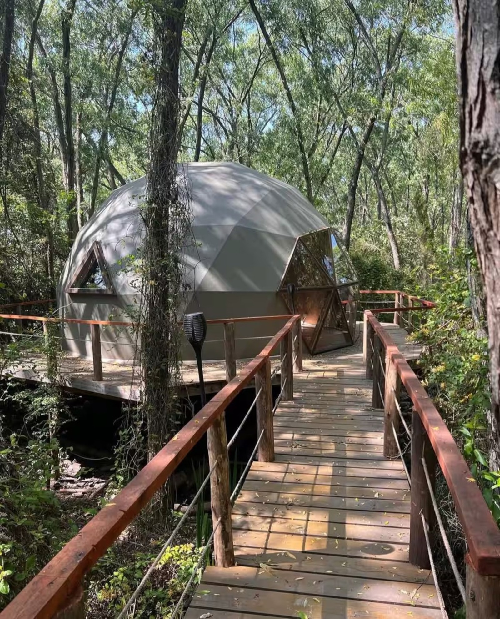 Casa esférica, Casa, Árvore