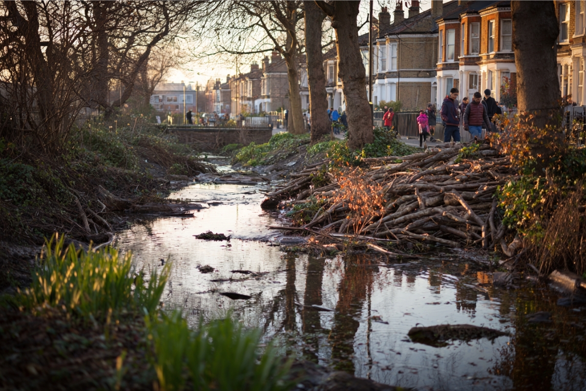 Castores transformam parques de Londres em barreira natural contra enchentes e atraem moradores para safáris noturnos em plena cidade