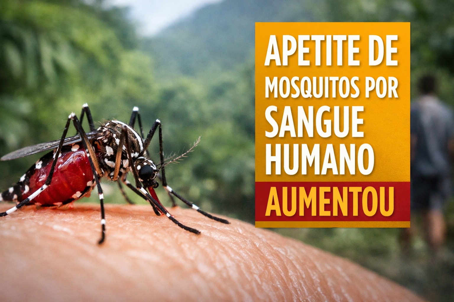 Mosquitos, Sangue humano
