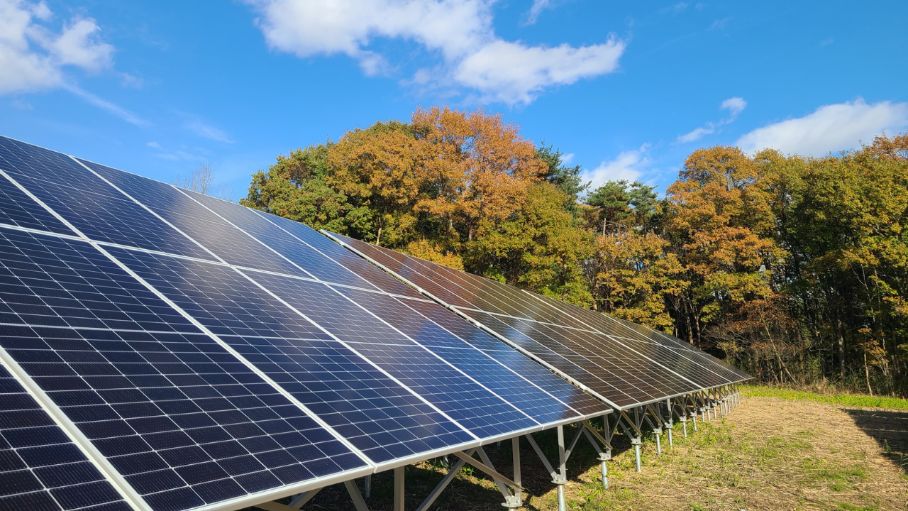 Novo módulo de 650 W da DAH Solar aposta em painéis fotovoltaicos Full-Screen e tecnologia TOPCon para ampliar a geração de energia, reduzir manutenção e atender usinas de solo e telhados a partir de 2026.