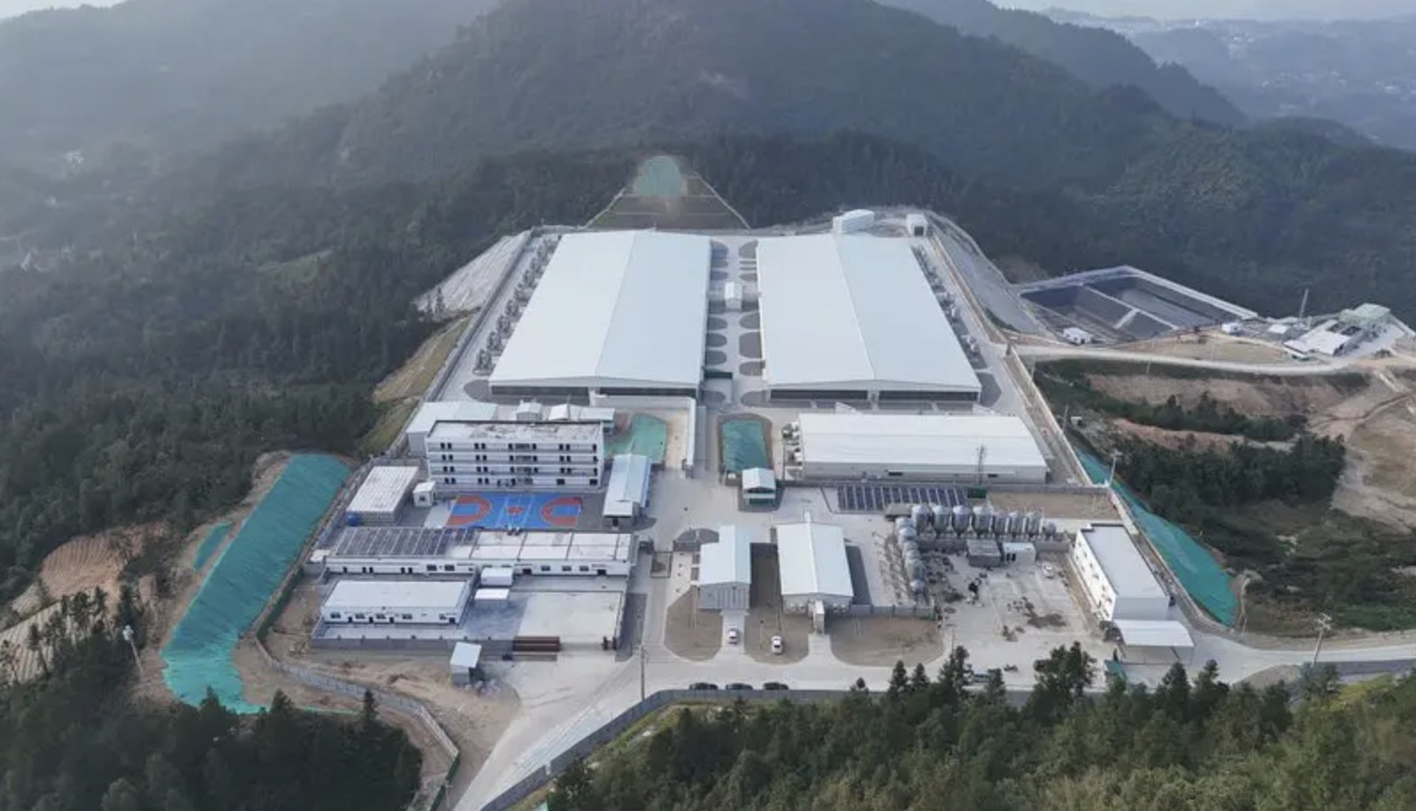 Granja, Genética, China