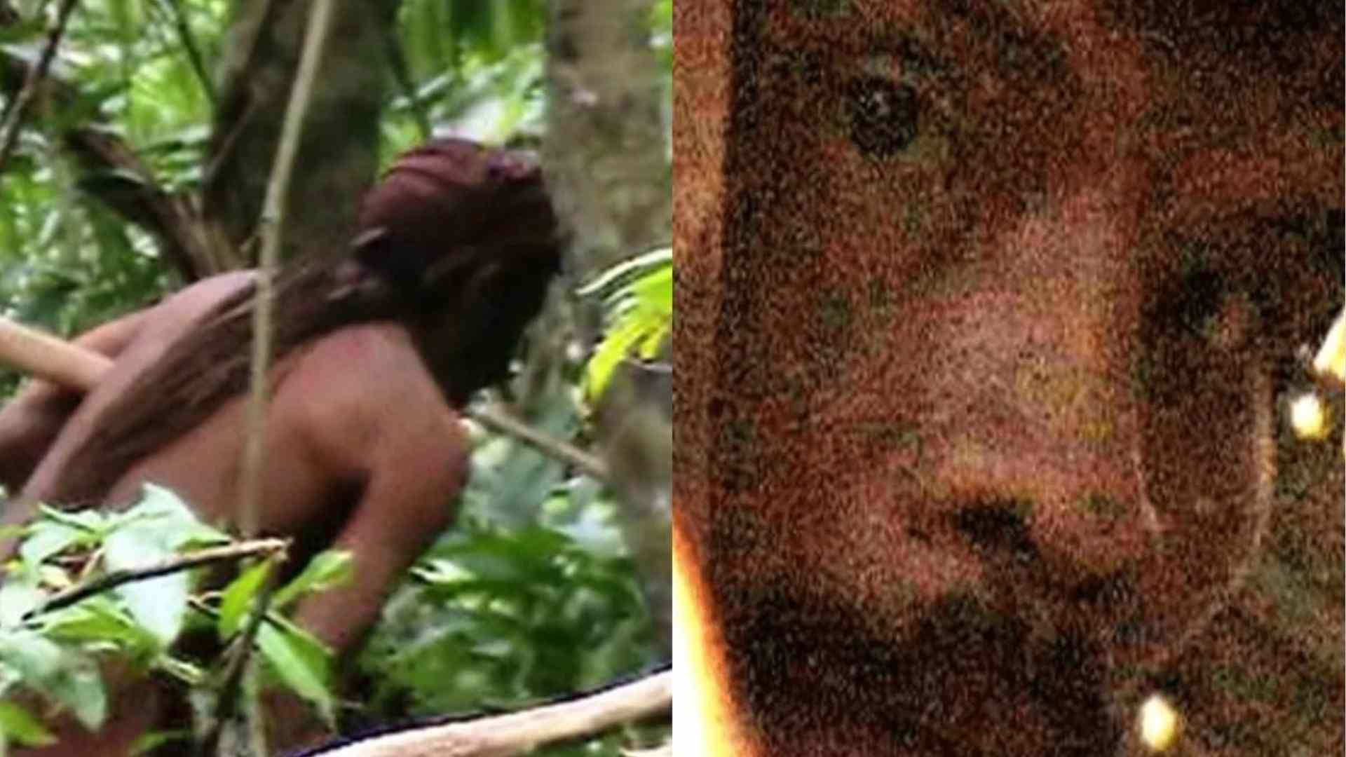 Sozinho por pelo menos 26 anos na Amazônia, sem qualquer contato com o mundo moderno, esse homem viveu isolado até o fim e se tornou o último sobrevivente de seu povo