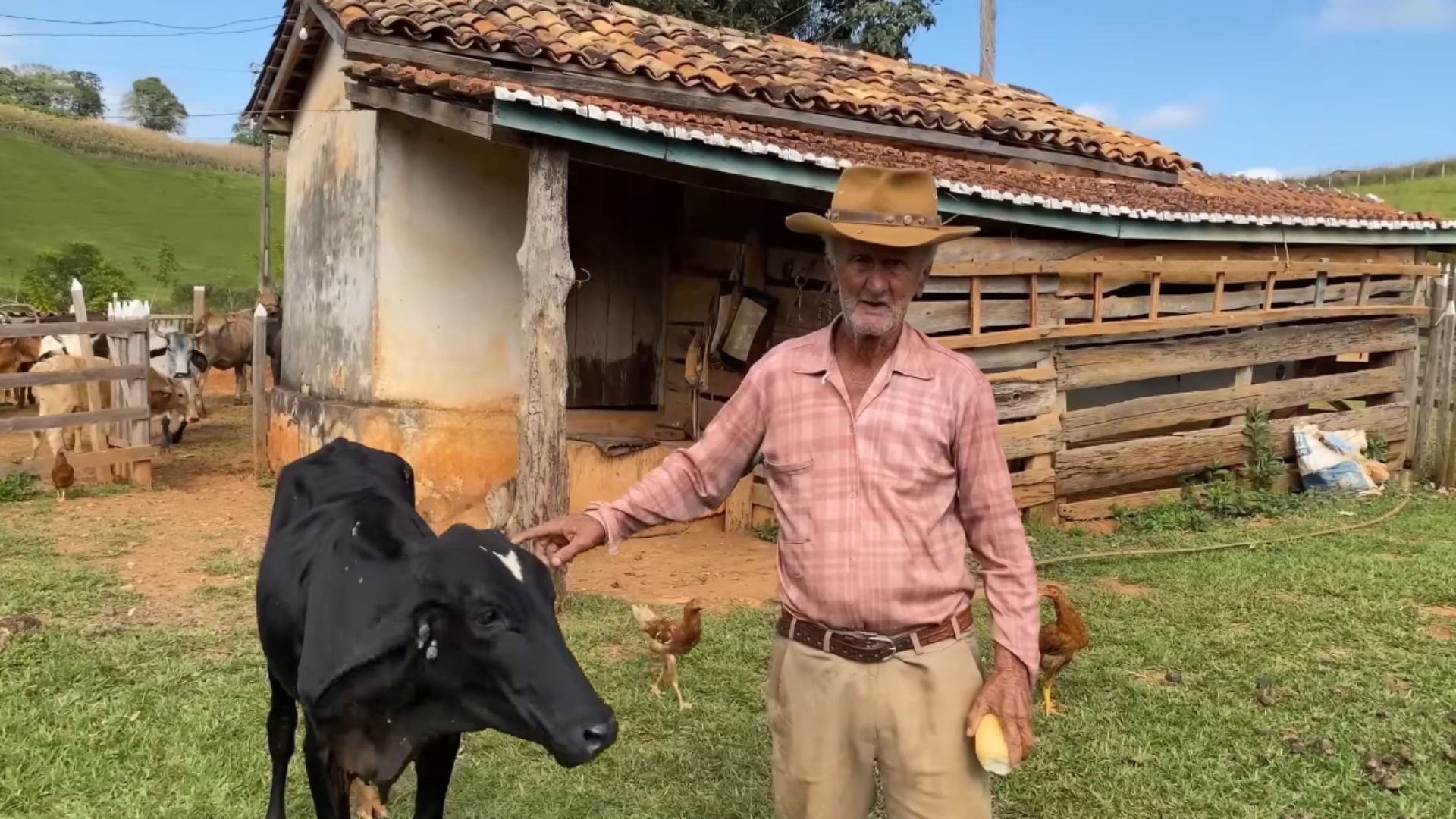 Idoso de 82 anos monta a cavalo em sítio rural no interior do Brasil, cuidando do gado e da própria criação.