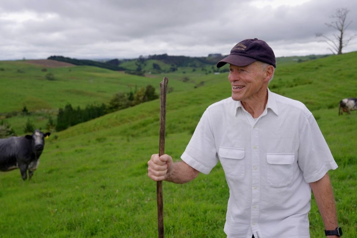 Na Nova Zelândia, o fim dos subsídios agrícolas expôs o setor ao mercado, reduziu ovelhas e elevou a produtividade, criando um modelo de referência global para reorganizar a relação entre Estado e campo.