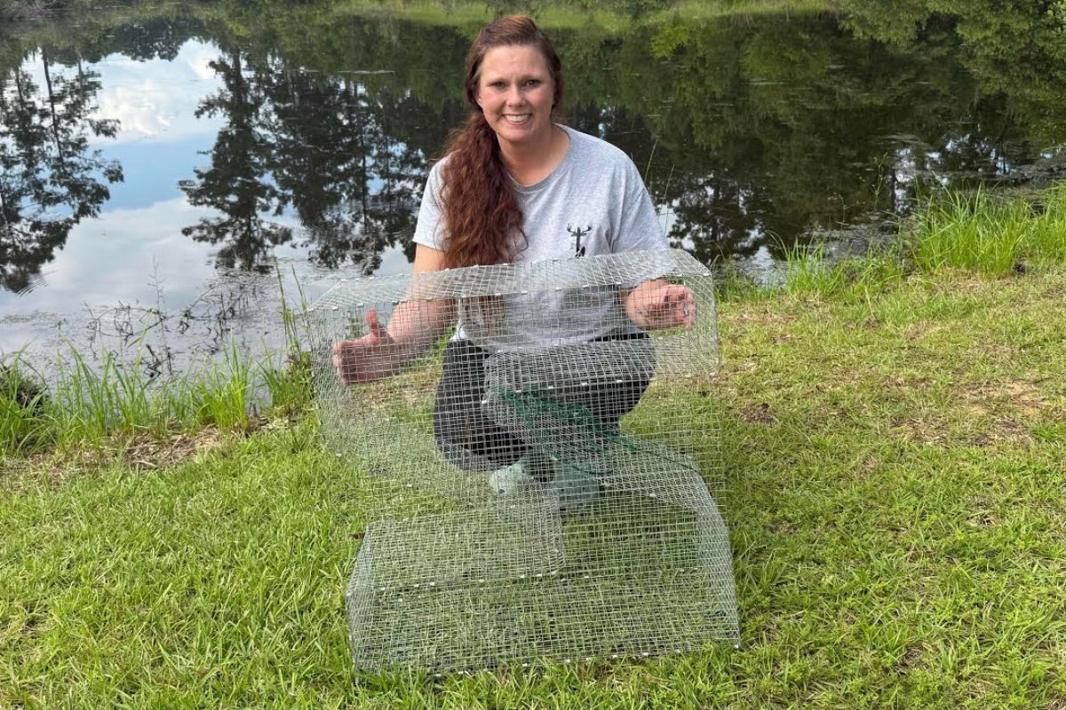 Armadilha em Z caseira transforma a captura de iscas em rotina estável no lago, ajudando pescadores a reunir bagres e sargos com eficiência, explicando montagem, testes comparativos e cuidados no uso em águas doces.