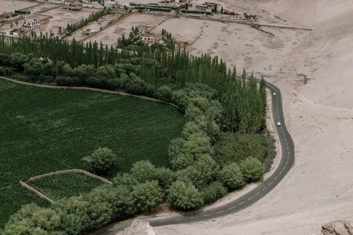 China plantou árvores para barrar o Deserto de Gobi, mas calculou mal floresta sugou água, secou solo e aquíferos, mudou chuvas; na África, Grande Muralha Verde vira mosaico
