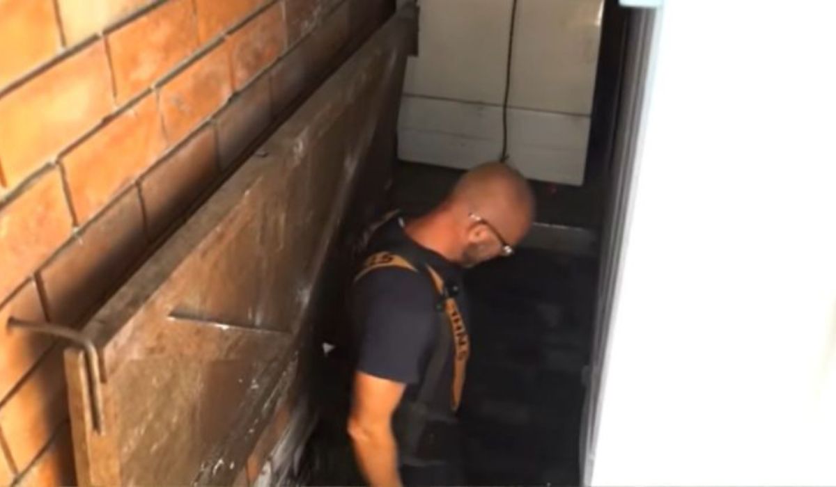 (Image: Disclosure/Vale Agricola/ND Mais)