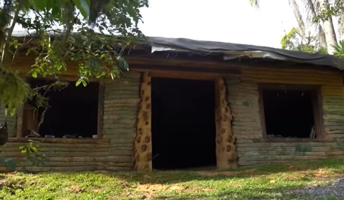 (Image: Disclosure/Vale Agricola/ND Mais)