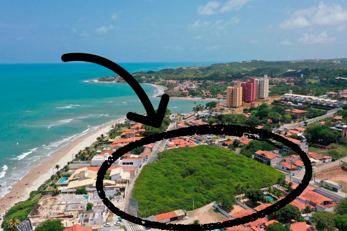 Um único cajueiro com uma anomalia genética é confundido com um pequeno bosque, tem o tamanho de cerca de 70 casas, ocupa até 9.500 m² de copa e já chegou a produzir 70 mil cajus em uma única safra