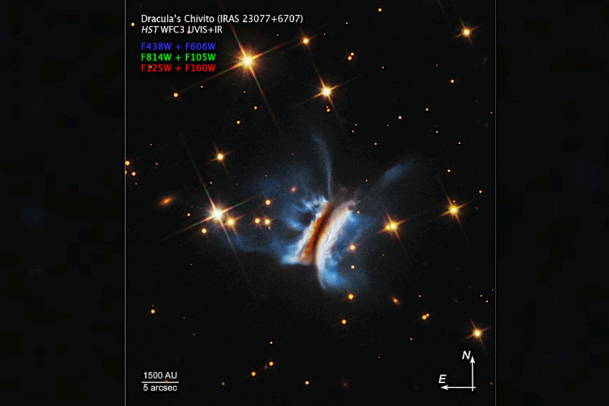 onde os planetas nascem, NASA e Hubble estudam o disco protoplanetário IRAS 23077+6707 e o brilho reprocessado em um sistema 40x maior que o Sistema Solar.