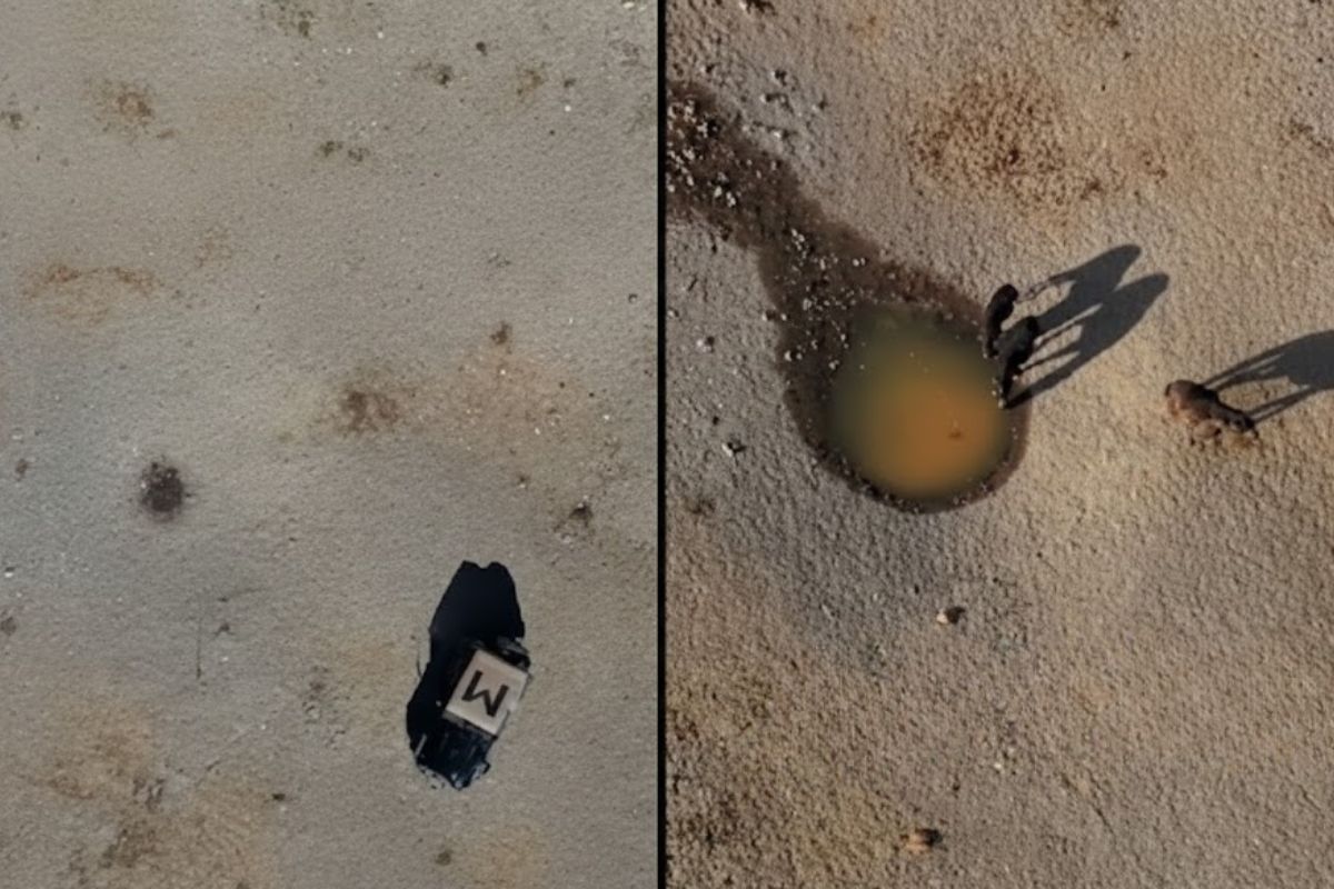 Uma fonte abandonada no deserto volta a jorrar água e garante sobrevivência de cavalos selvagens, burros e pássaros em pleno deserto, expondo a fragilidade extrema da fauna quando o acesso à água quase desaparece.