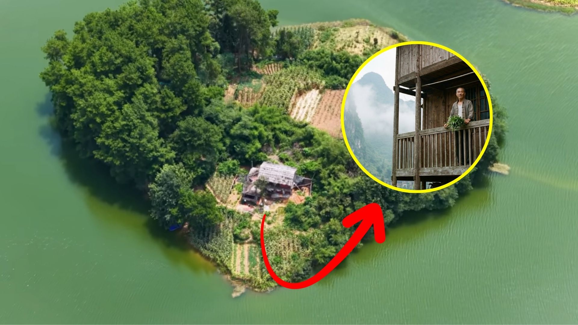 Homem de 62 anos vive sozinho em ilha na China, cultiva ervas raras, cria animais e rema quilômetros sem motor em reservatório isolado.