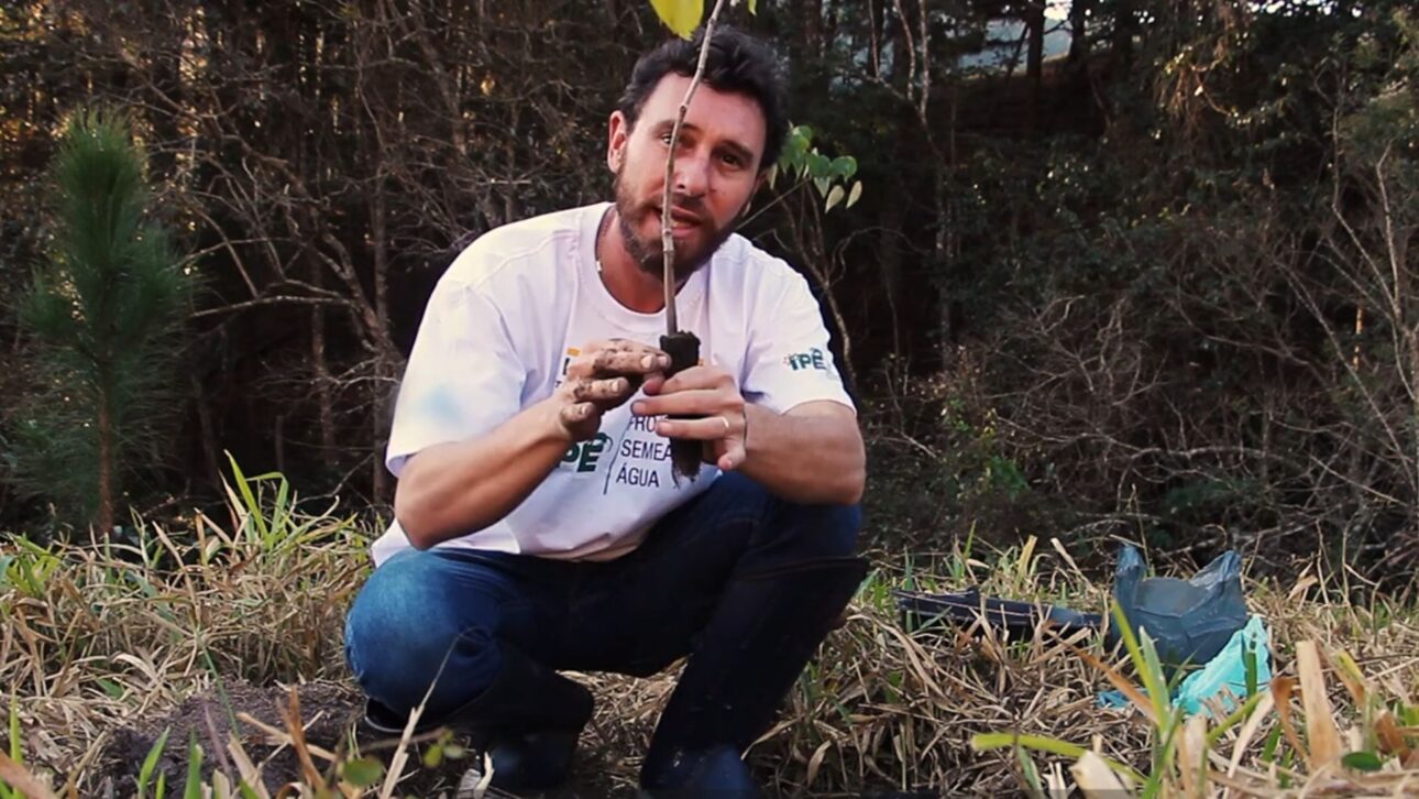 Produtor em Piracaia transforma pasto degradado em agrofloresta com café e árvores nativas e melhora infiltração no entorno do Cantareira.