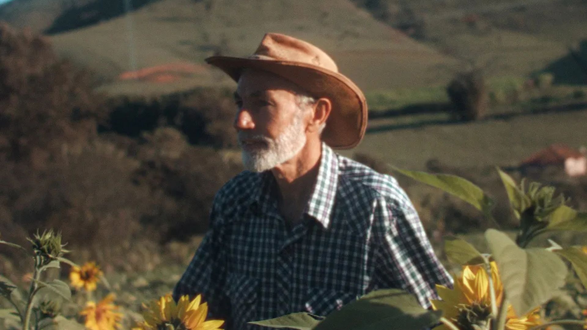 Agrofloresta no Sistema Cantareira recupera solo degradado com café e espécies nativas em área afetada pela crise hídrica em SP.
