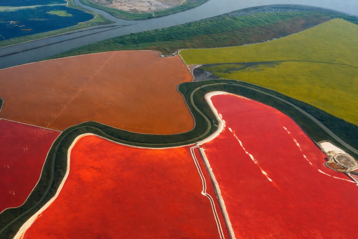 Lagoas de sal na Baía de São Francisco: Restauração de áreas úmidas reabre Pântano de maré, revê Diques e devolve marés ao litoral.