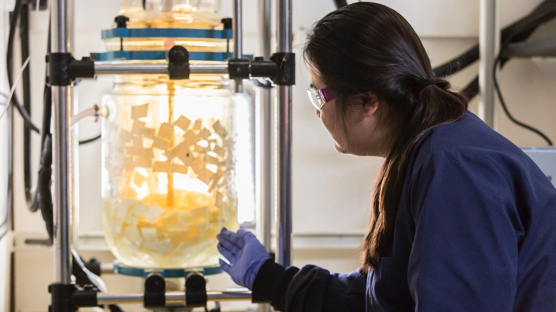 Aos 19 anos, uma jovem transformou resíduos agrícolas em bioplástico biodegradável, converteu casca de arroz e restos vegetais em alternativa real ao plástico comum e levou o Canadá ao centro da nova corrida por materiais sustentáveis