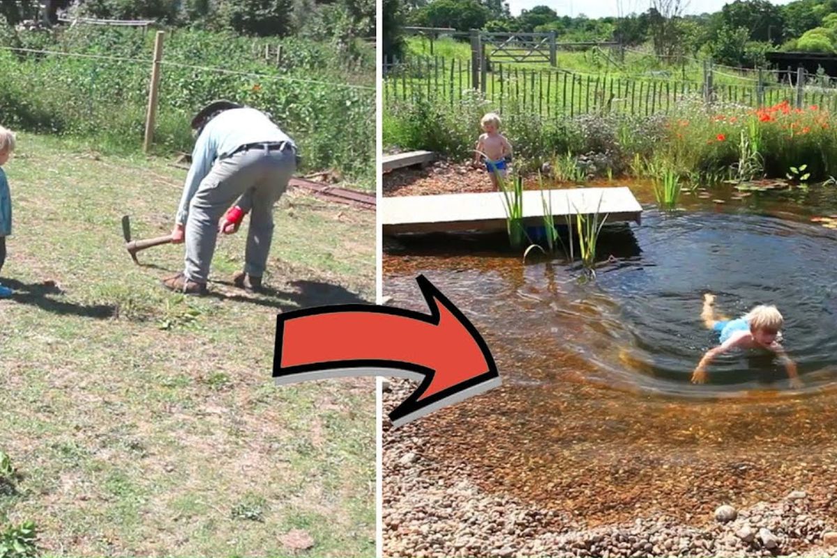 Uma pequena piscina natural cavada à mão mostra como água, plantas e vida selvagem podem manter o lago estável sem produtos químicos, criando um refúgio ecológico onde se nada com crianças em plena integração com a natureza.