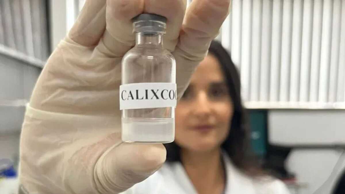 Brasil inicia testes em humanos da vacina Calixcoca contra crack e cocaína. Pesquisa da UFMG avança para fase clínica. (Imagem: Divulgação/UFMG)