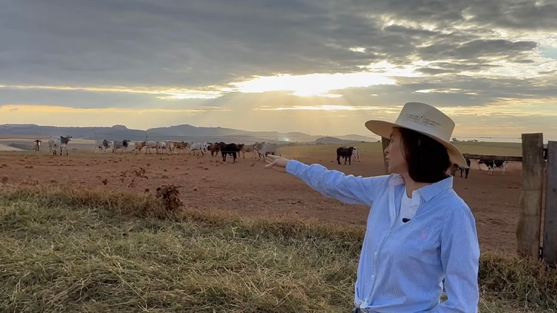 Confinamento com 1.800 animais na fazenda mais rentável do Brasil