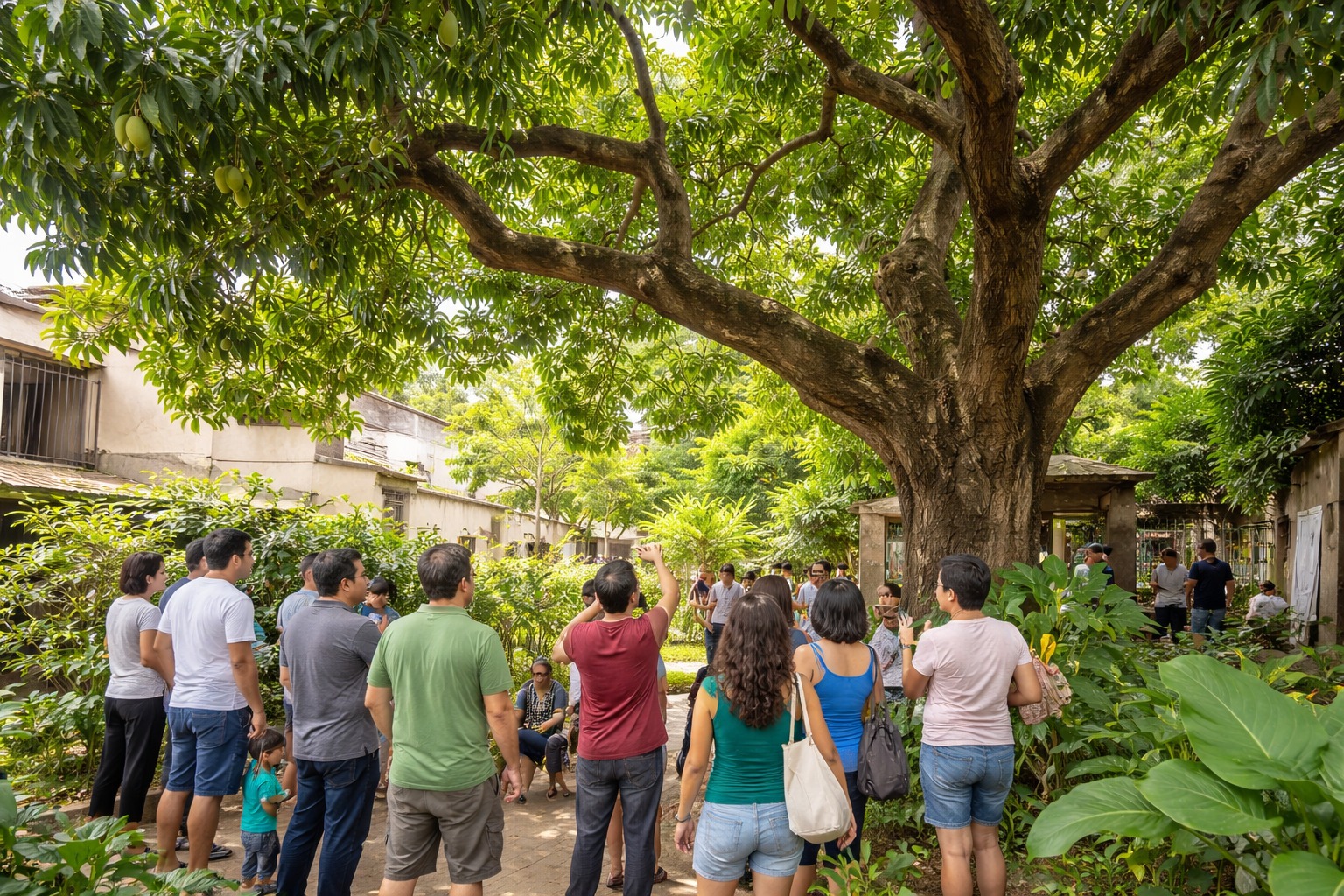 Mangueira histórica, Corte, Moradores
