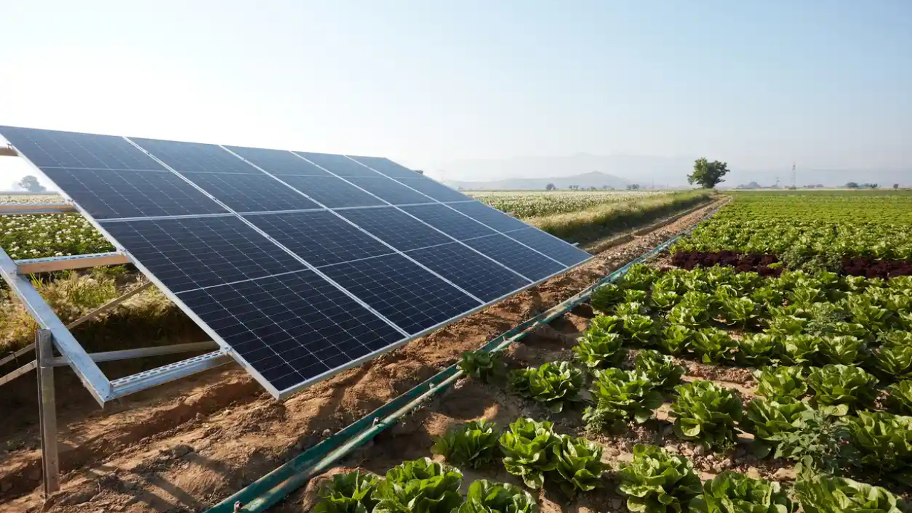 Com mais de R$ 15 bilhões investidos desde 2012, placas solares avançam sobre áreas rurais no Paraná e Mato Grosso do Sul, impulsionadas pelo agronegócio e pela busca por energia mais barata e estável.
