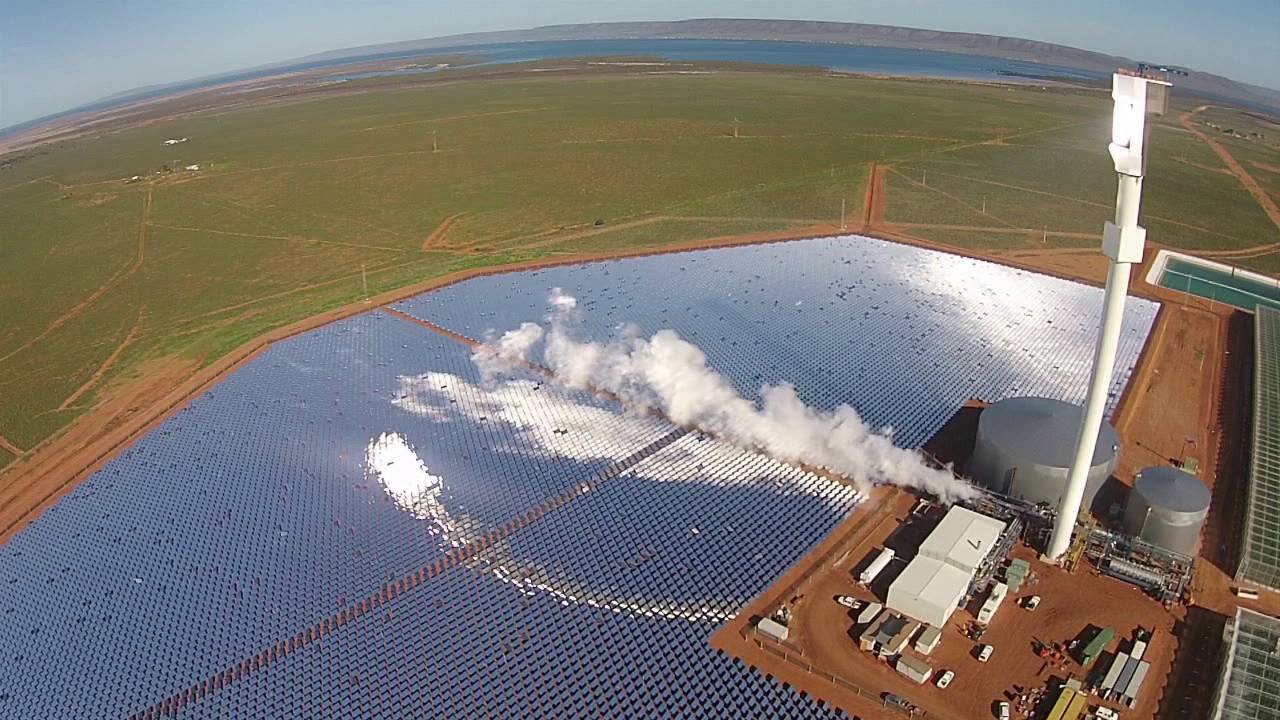 No coração do deserto australiano, 15 mil toneladas de tomate nascem com água do mar e energia solar concentrada, desafiando os limites da agricultura tradicional