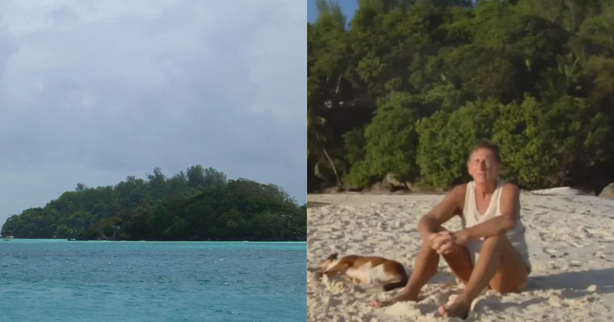 Jornalista comprou ilha nas Seychelles por 8 mil libras e plantou 16 mil árvores, transformando o local abandonado em parque nacional protegido. (Imagem: Shutterstock / YouTube @WanderingEyeFilms)