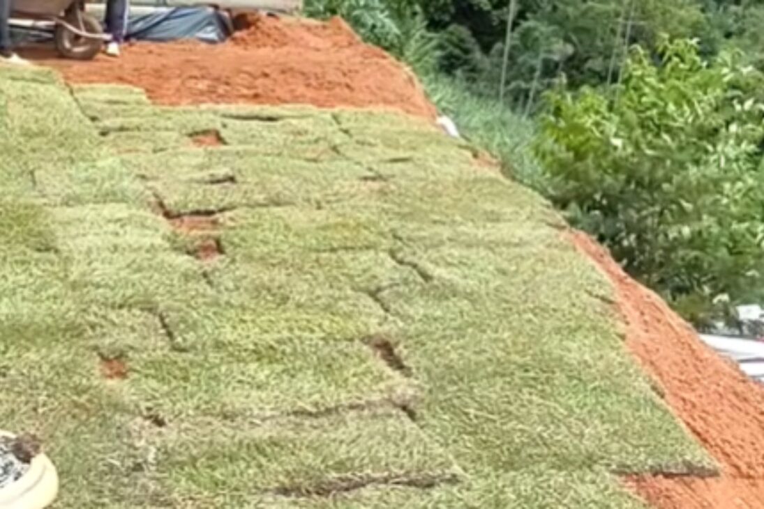 Couple Uses a Stone Path, Grass, and Irrigation Controlled by Smartphone to Renew the Entrance of the Property.