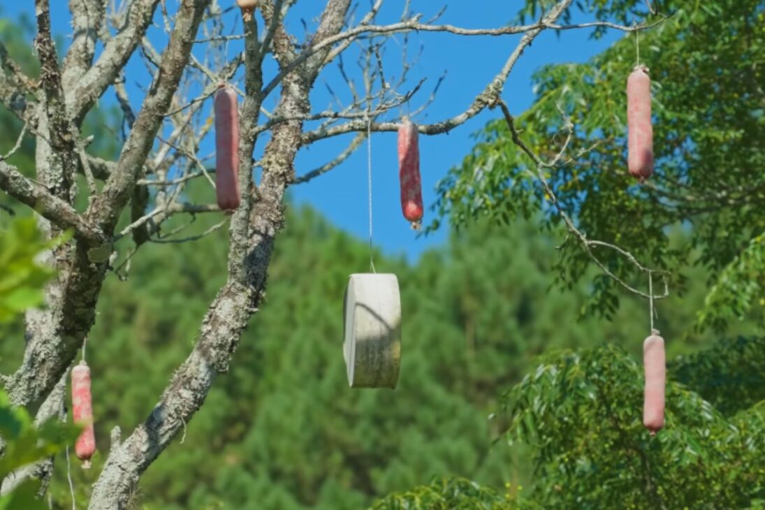 Casca reveals historic villages, immigration, agro, and a link with the Miura in a route that shows why the Gaúcha city surprises so much.