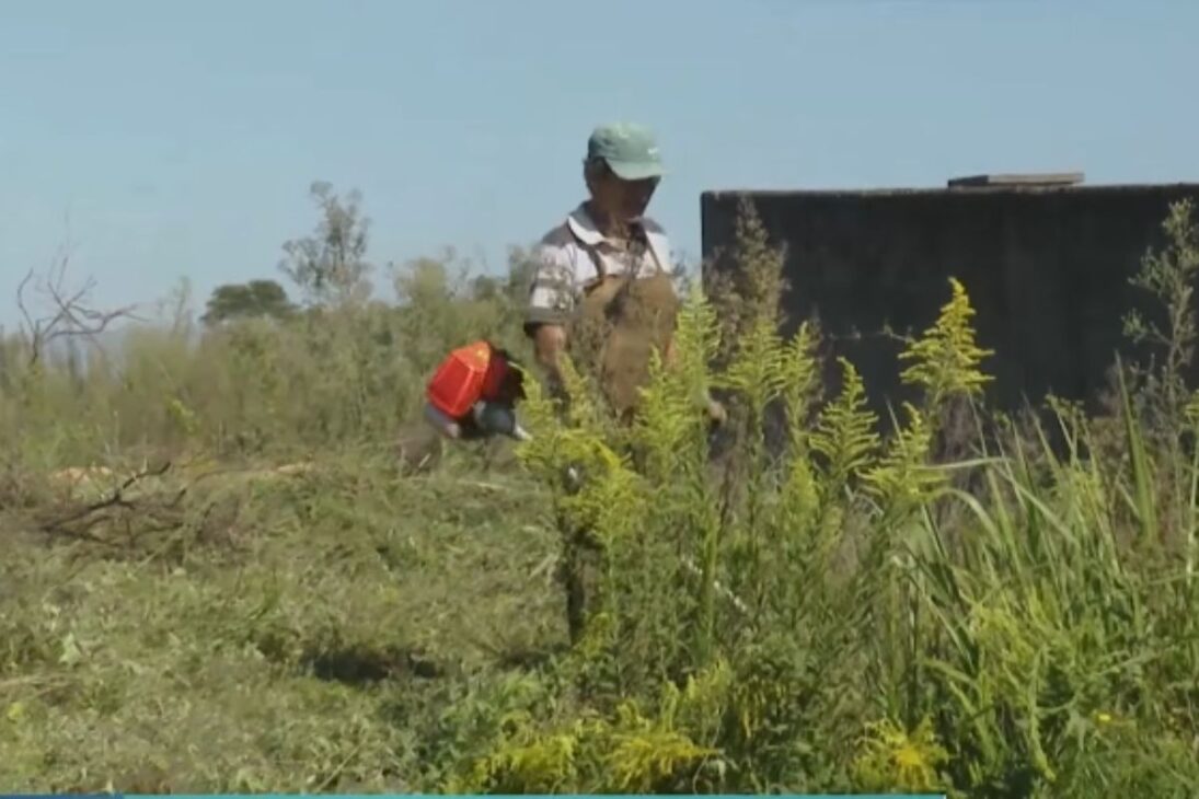 Land cleaning with land cleaning app for vacant lots generates extra income for small workers.