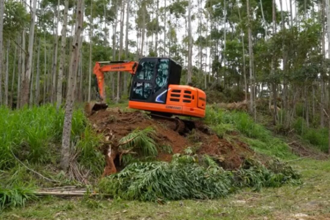 Couple Starts From Scratch On A Plot Of Land In Santa Catarina, Opens Access, And Removes Eucalyptus To Transform The New Area.