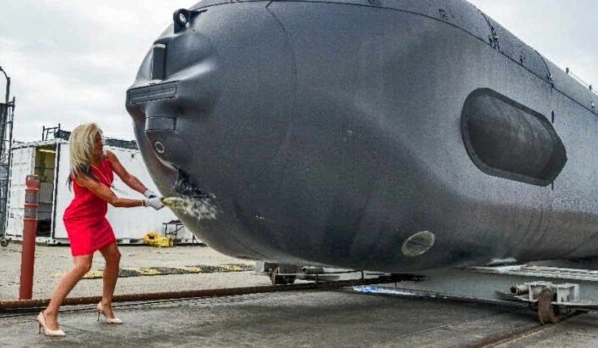 Image: Reproduction)